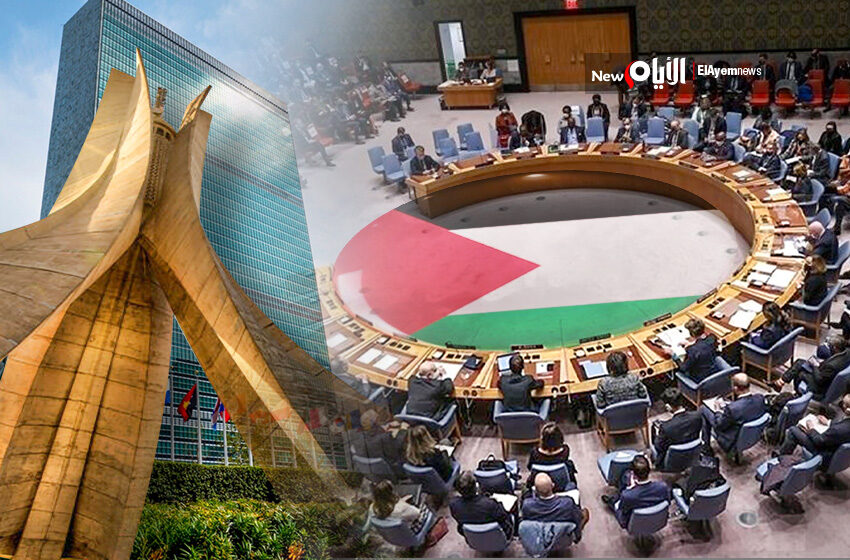 بشأن عضوية فلسطين.. مجلس الأمن يصوّت اليوم على مشروع القرار الجزائري